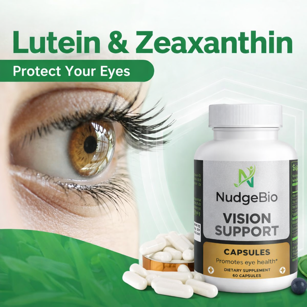 vision support